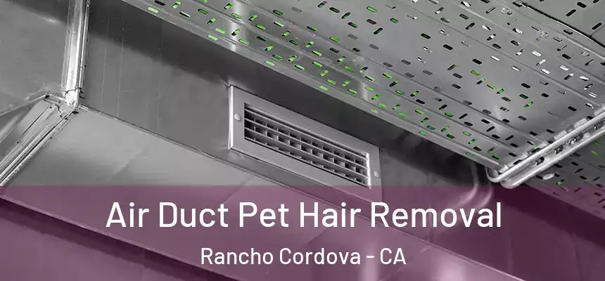 Air Duct Pet Hair Removal Rancho Cordova - CA