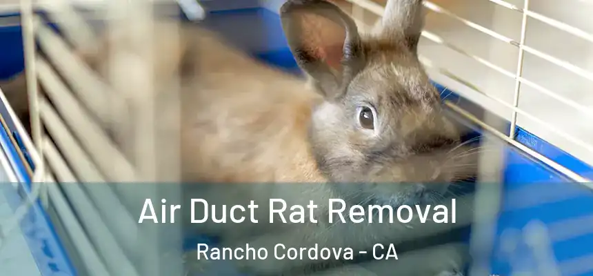  Air Duct Rat Removal Rancho Cordova - CA