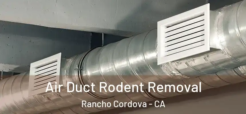 Air Duct Rodent Removal Rancho Cordova - CA