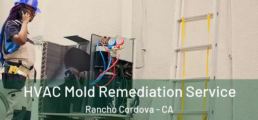  HVAC Mold Remediation Service Rancho Cordova - CA