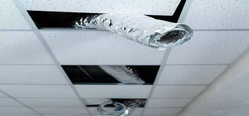 Our Air Duct Pet Hair Removal Services in Rancho Cordova, CA