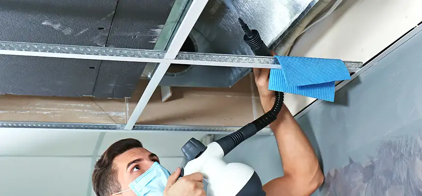 Our Air Duct Rodent Removal Services in Rancho Cordova, CA