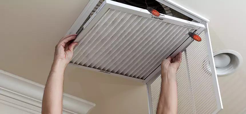 Our Insect Removal from Air Ducts Services in Rancho Cordova, CA