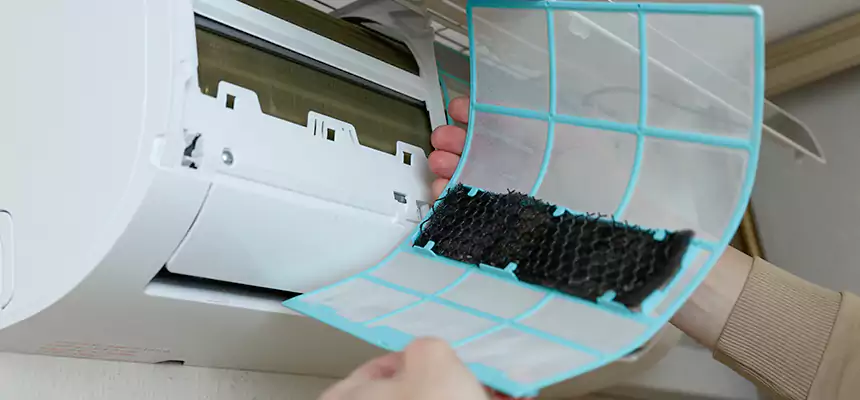 Gentle Ductwork Odor-Control Pet Dander Duct Cleaning in Rancho Cordova, CA