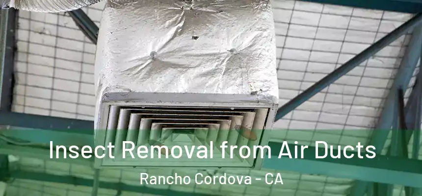 Insect Removal from Air Ducts Rancho Cordova - CA