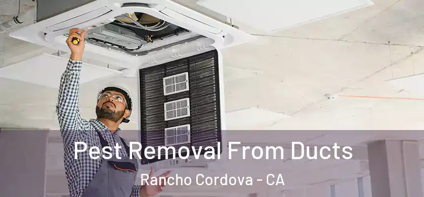  Pest Removal From Ducts Rancho Cordova - CA