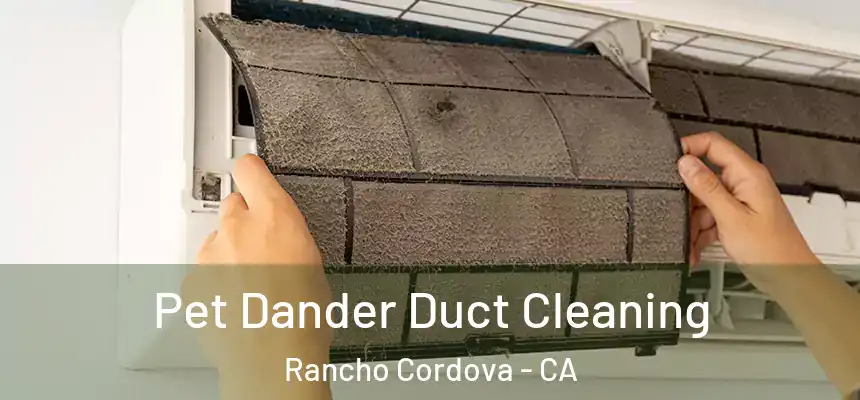Pet Dander Duct Cleaning Rancho Cordova - CA