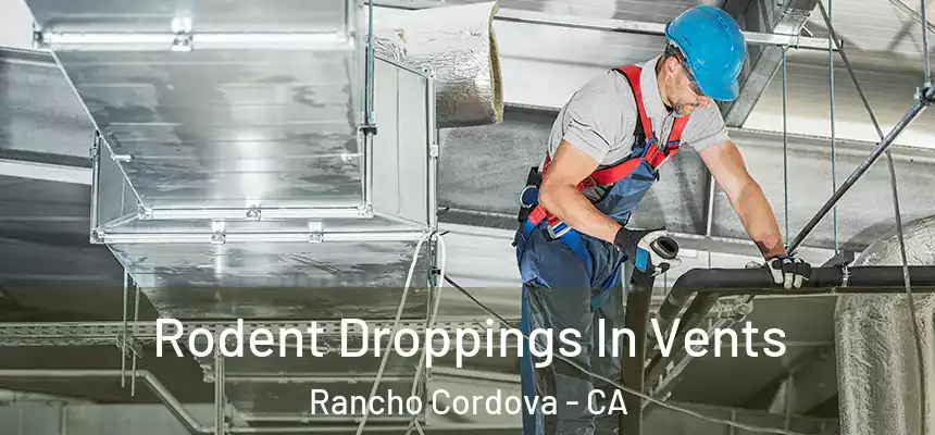  Rodent Droppings In Vents Rancho Cordova - CA
