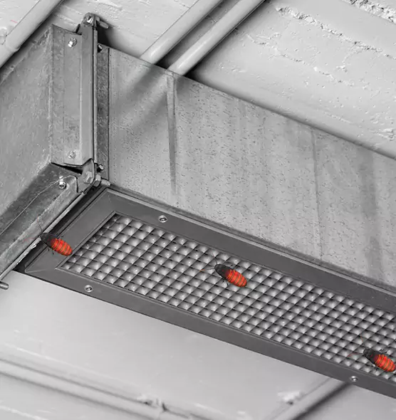 About Air Duct Cockroach Removal in Rancho Cordova, CA