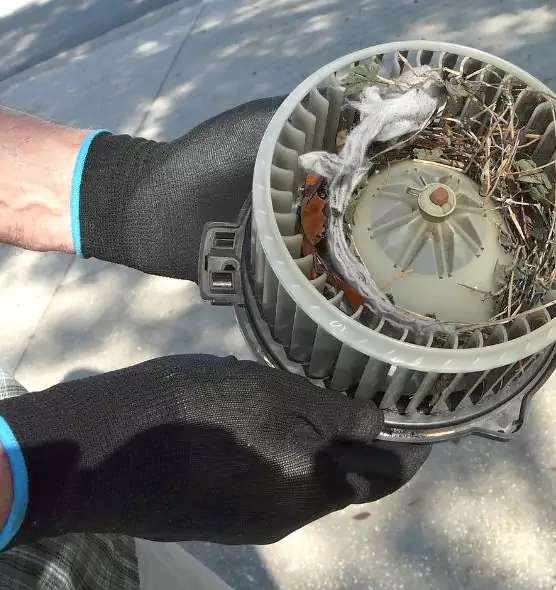 About Air Duct Mice Removal in Rancho Cordova, CA