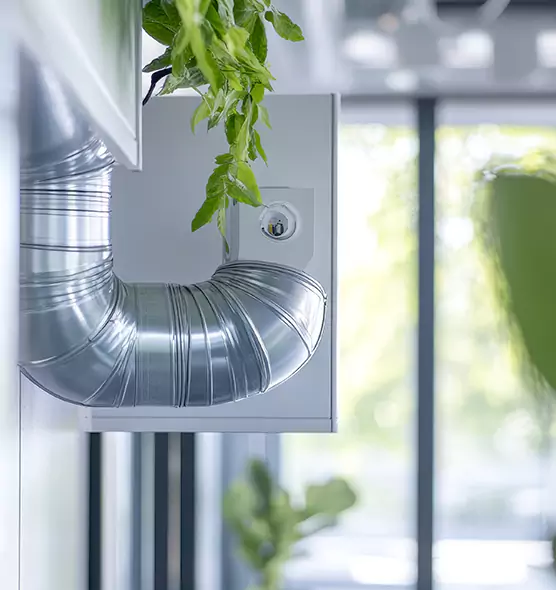 Professional Eco-Friendly Duct Cleaning Services in Rancho Cordova, CA