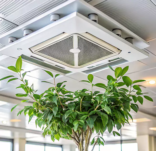 Why Homeowners & Businesses Trust Us in Rancho Cordova, CA