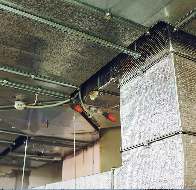 Why Homeowners & Businesses Trust Us Rancho Cordova, CA?